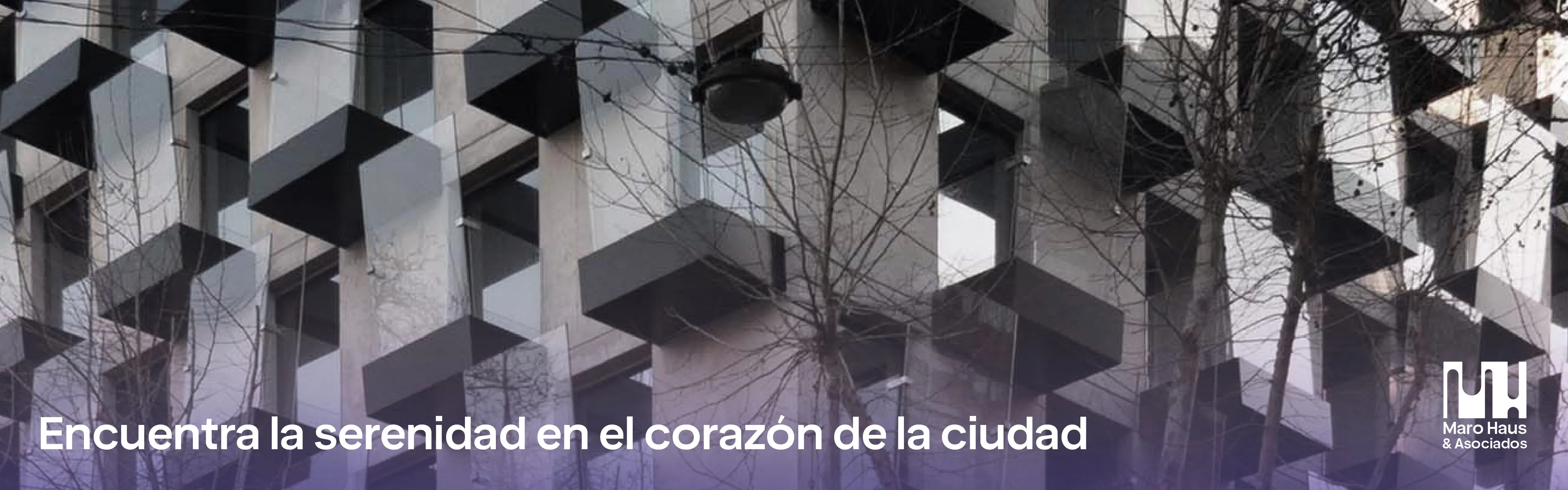 Imagen quienes somos